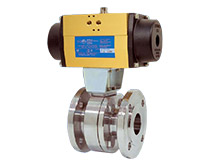 Pnematic actuator  APR