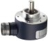Rotary Incremental Encoders Model M58
